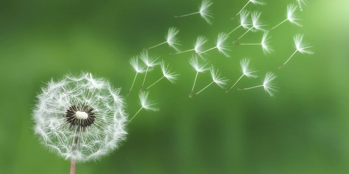 Untitled design (1).jpg