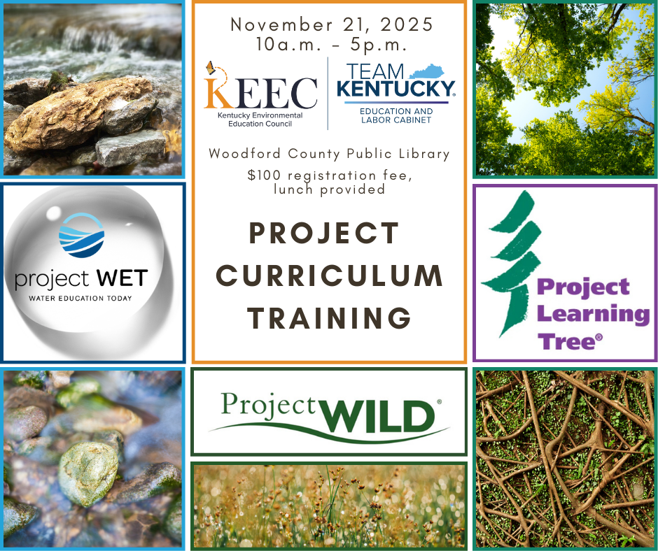 Project Curriculum Training (3).png