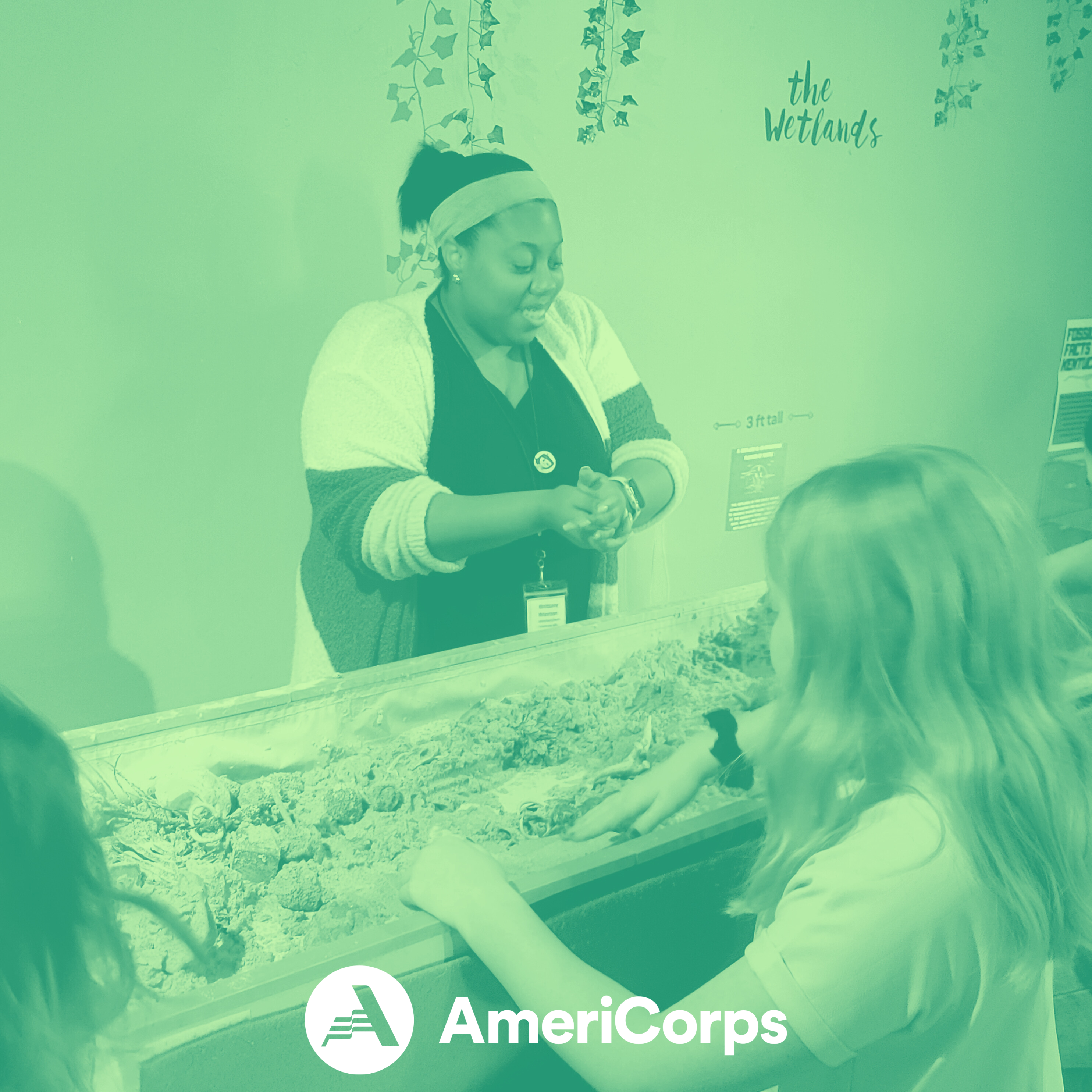 Bird Buddies-Legacy Grove 2.jpg