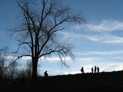 Silhouette of a tree and people in the distance under a blue sky. 